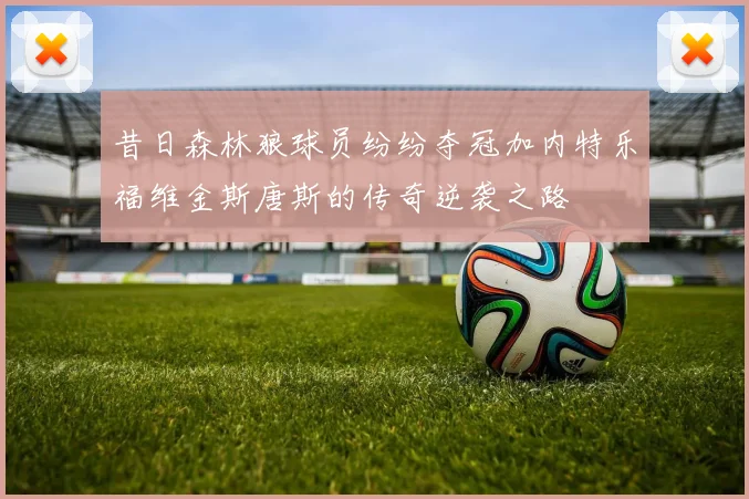 昔日森林狼球员纷纷夺冠加内特乐福维金斯唐斯的传奇逆袭之路
